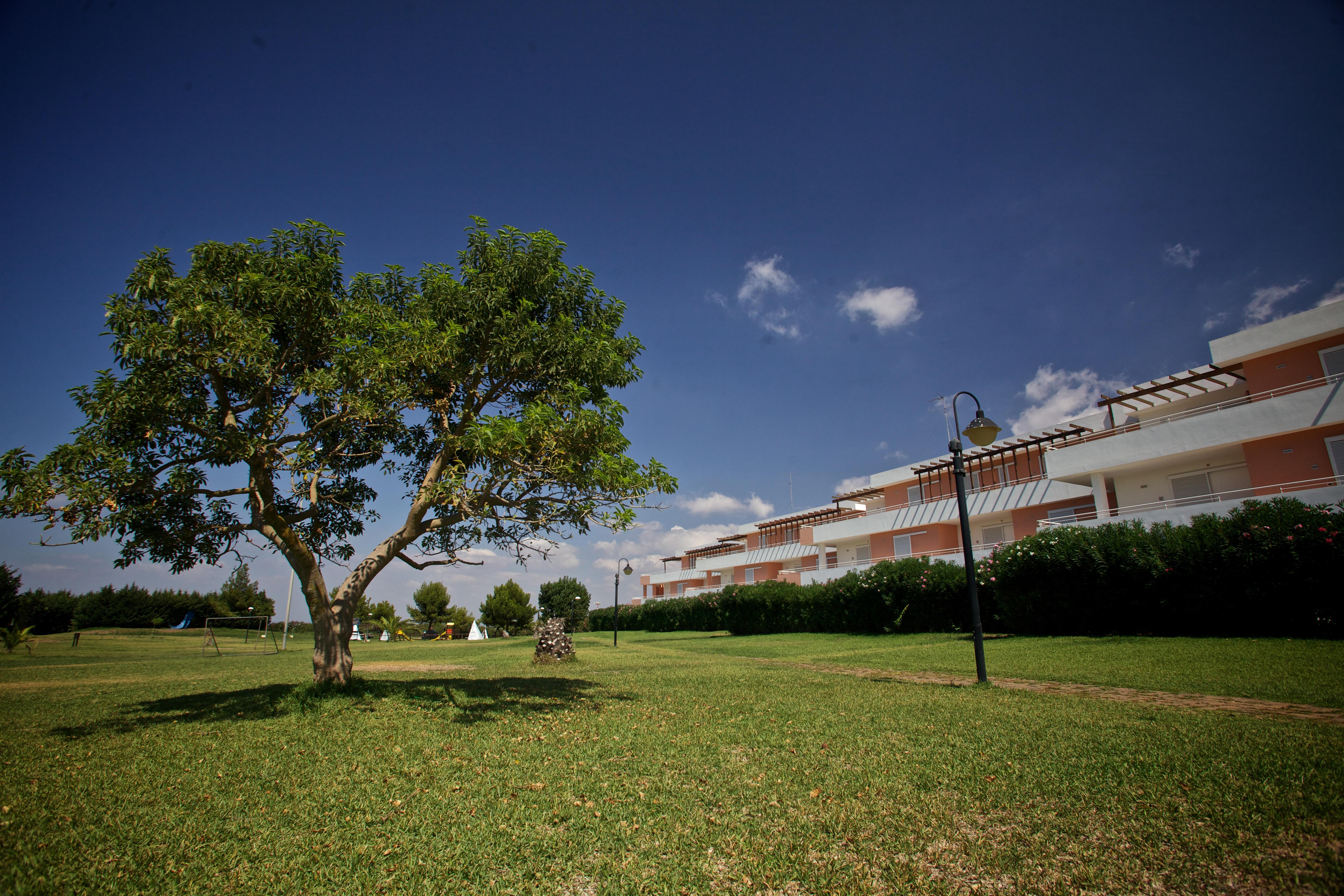 Tramonti